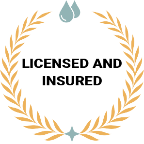 Licensed And Insured Badge